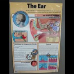 Mpata Health ear system0